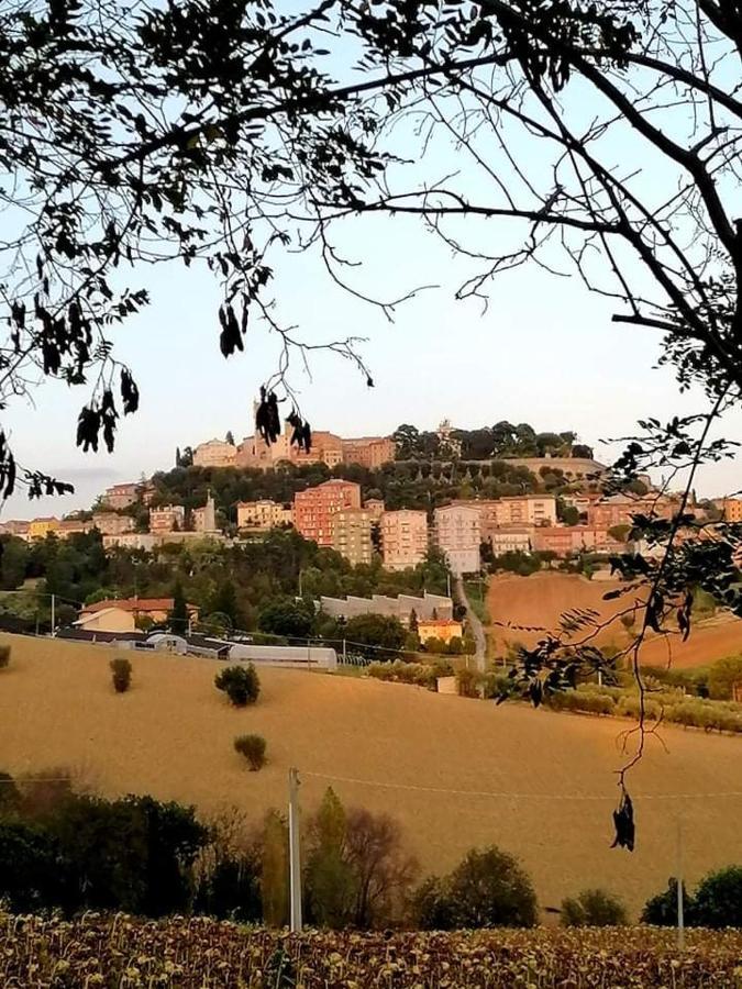 Auximum Appartamenti Osimo Bagian luar foto